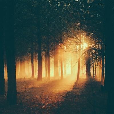 leyu乐鱼体育入口